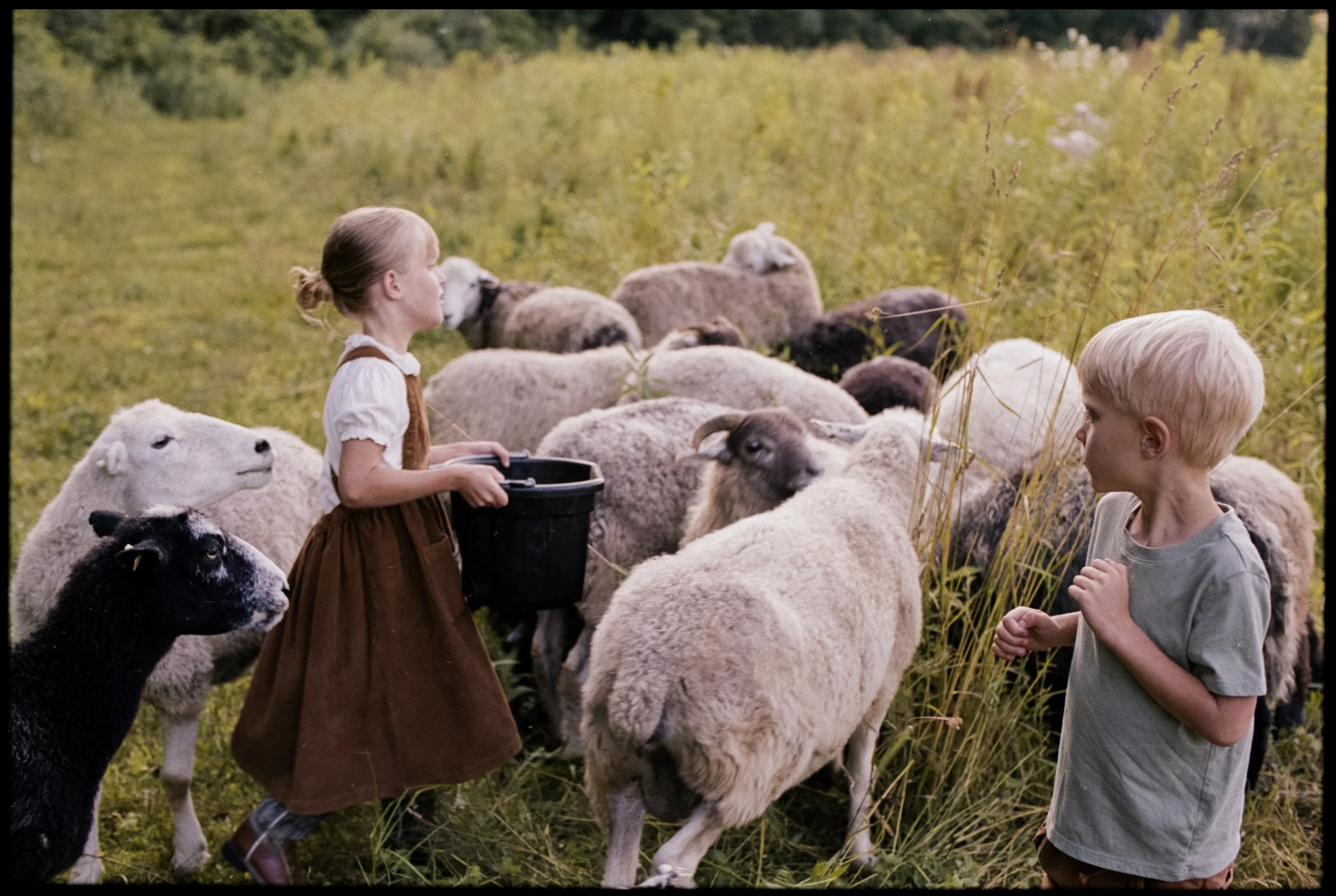McKerrowFarms2026_Film_JG_654_LR.jpg