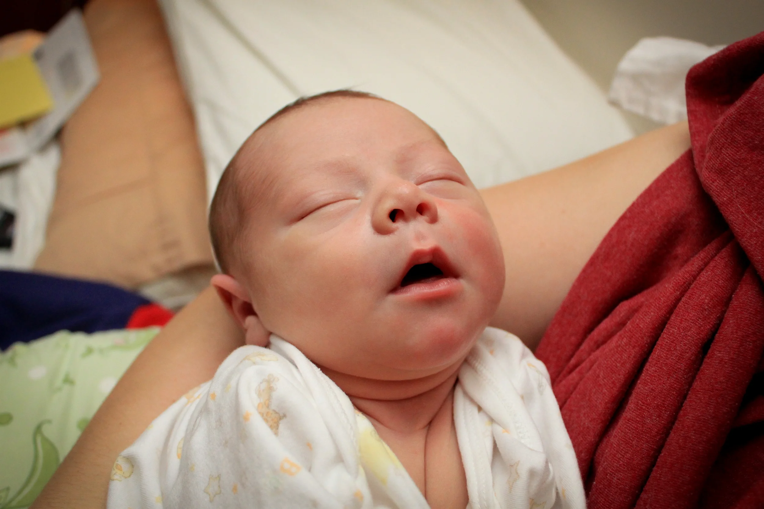1 Month Old