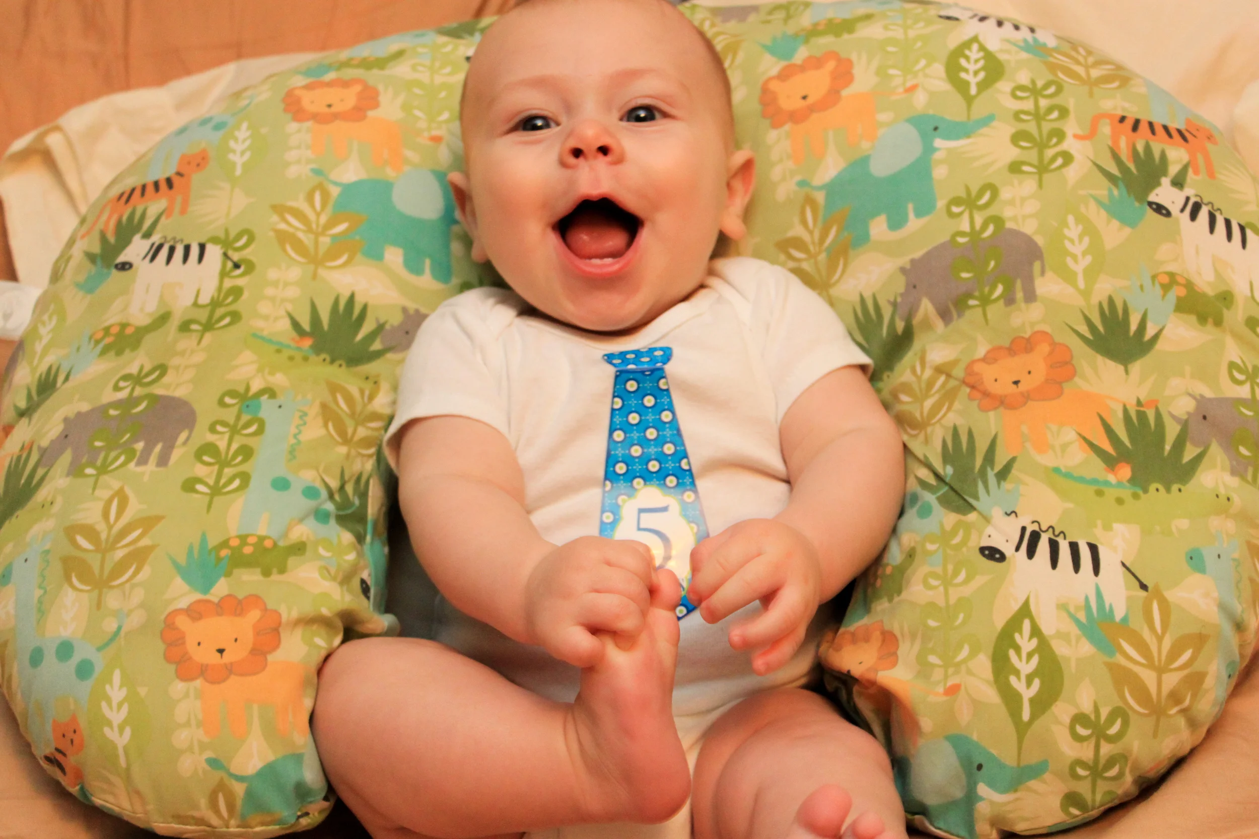 5 Months Old
