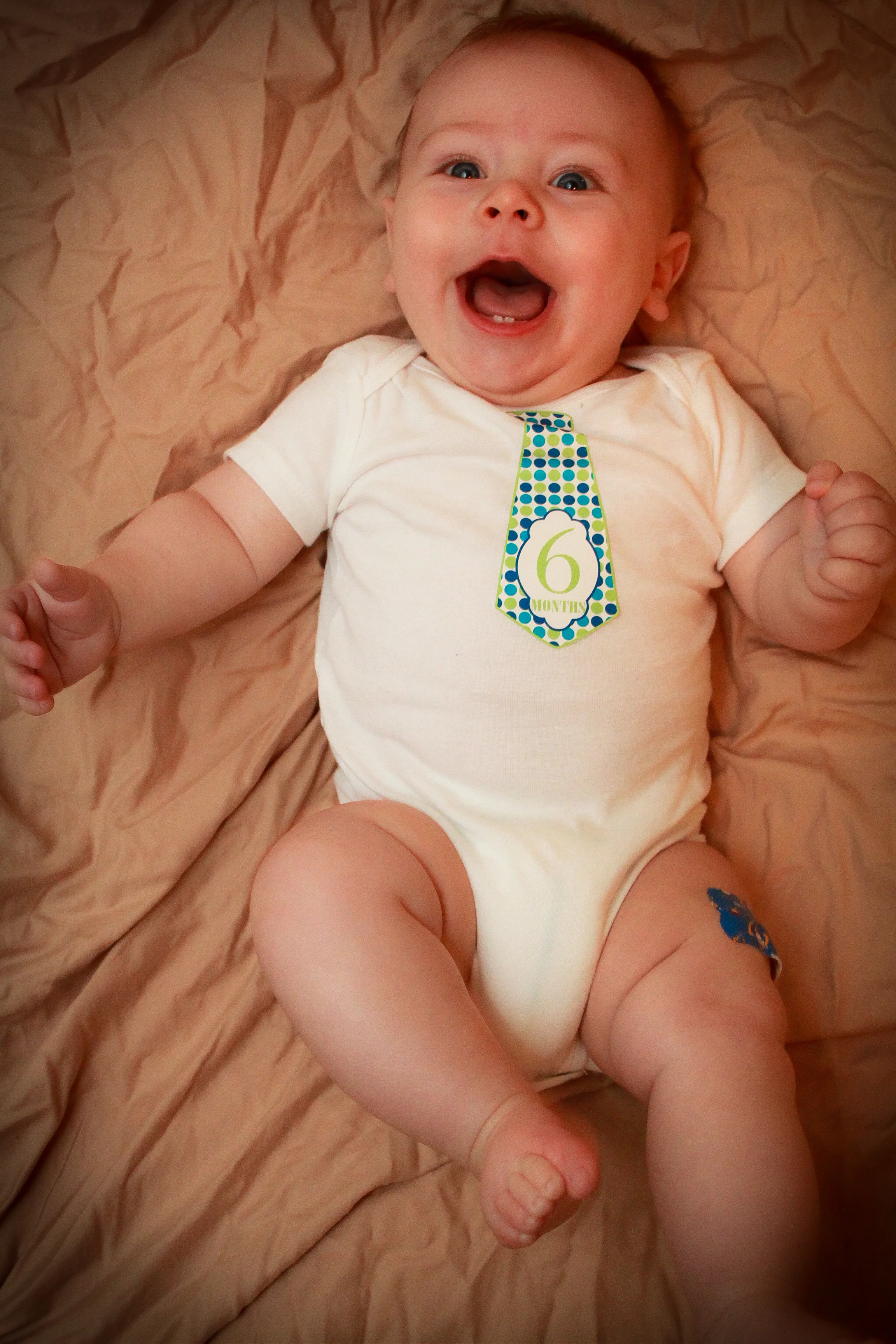 6 Months Old
