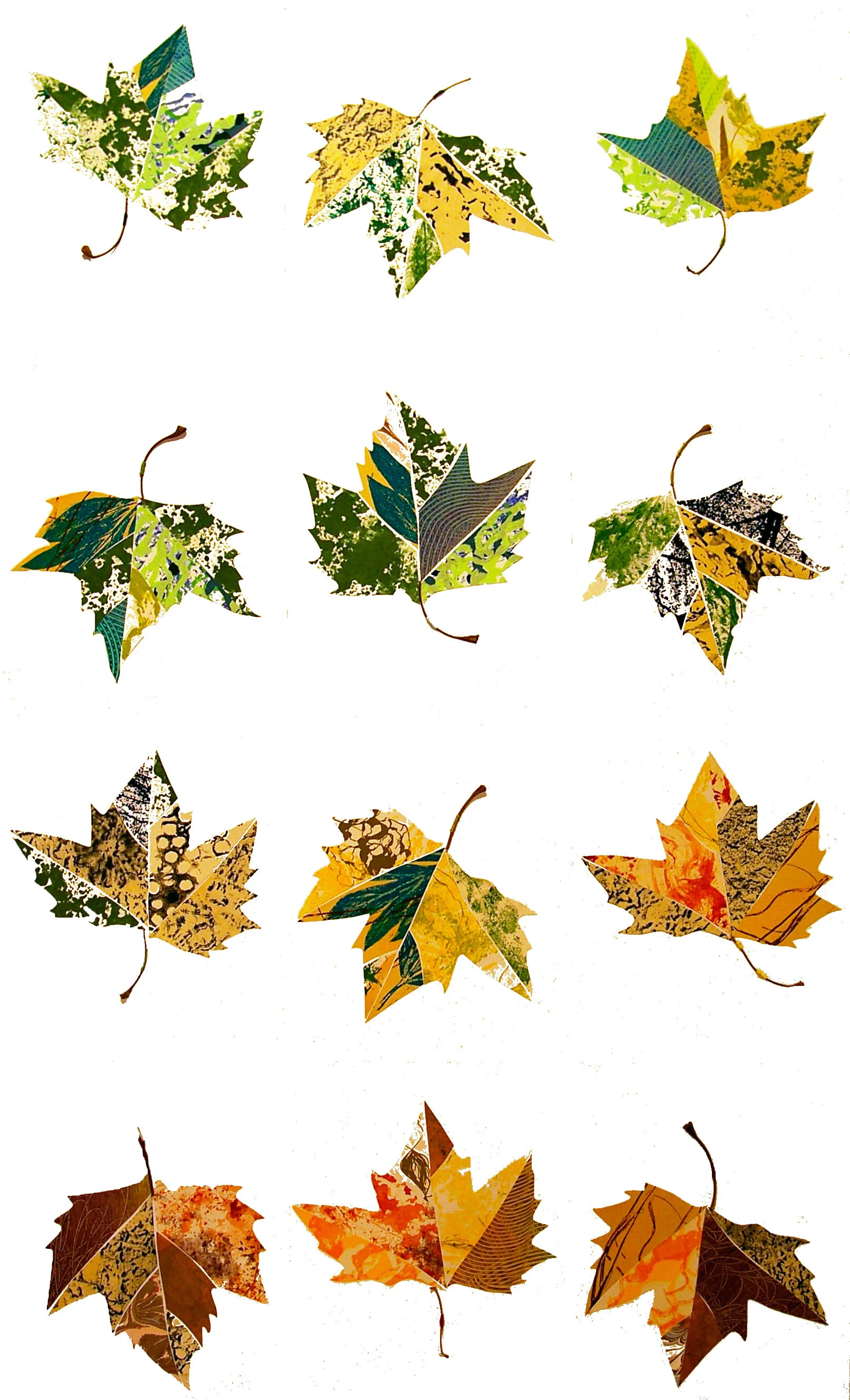 Sycamore Cycle-72dpi.jpg