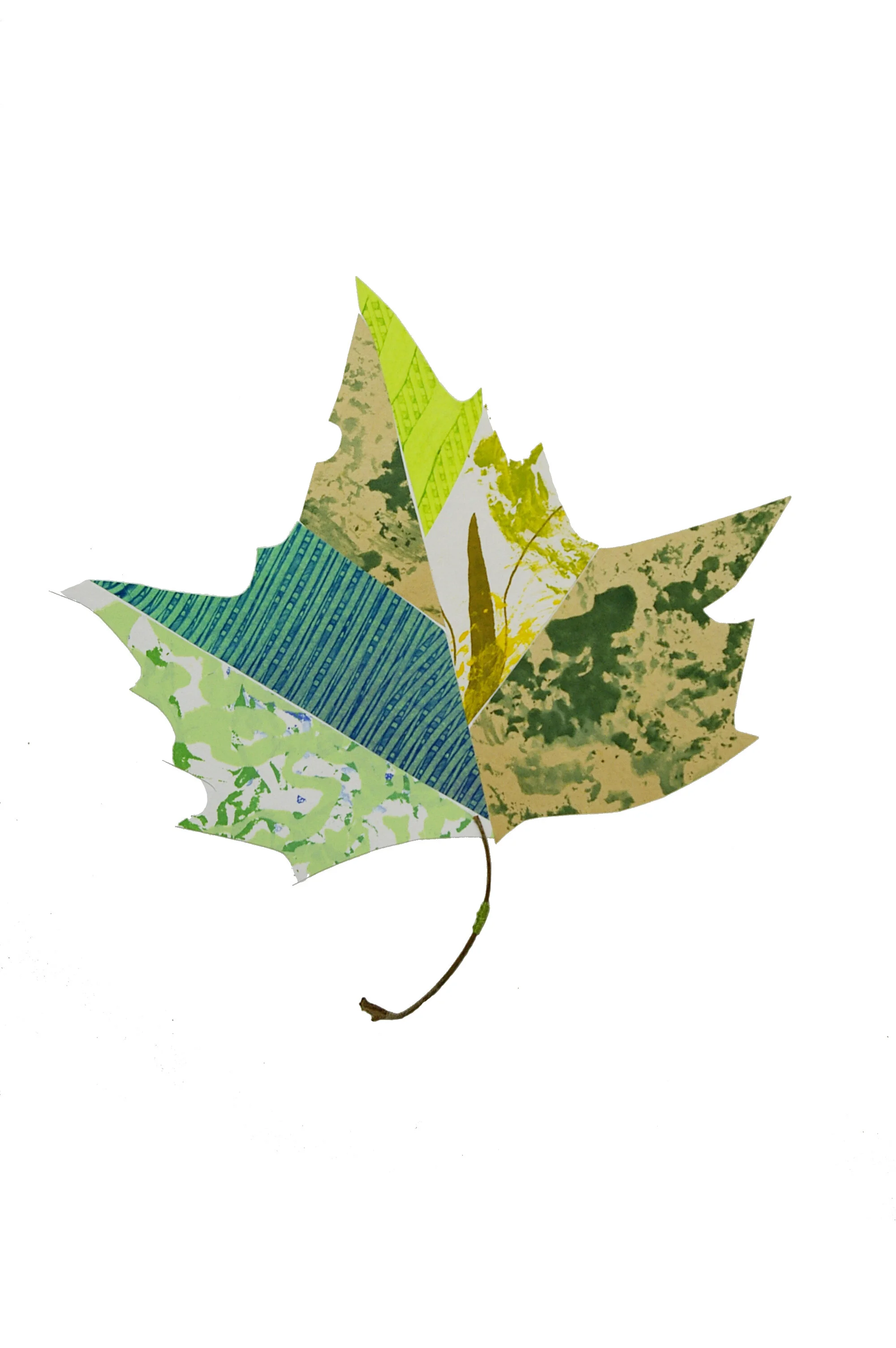 Sycamore Leaf Green.JPG