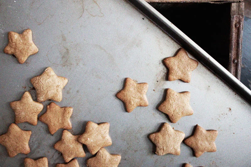 128js-Gingerbread-Cookie-8.jpg