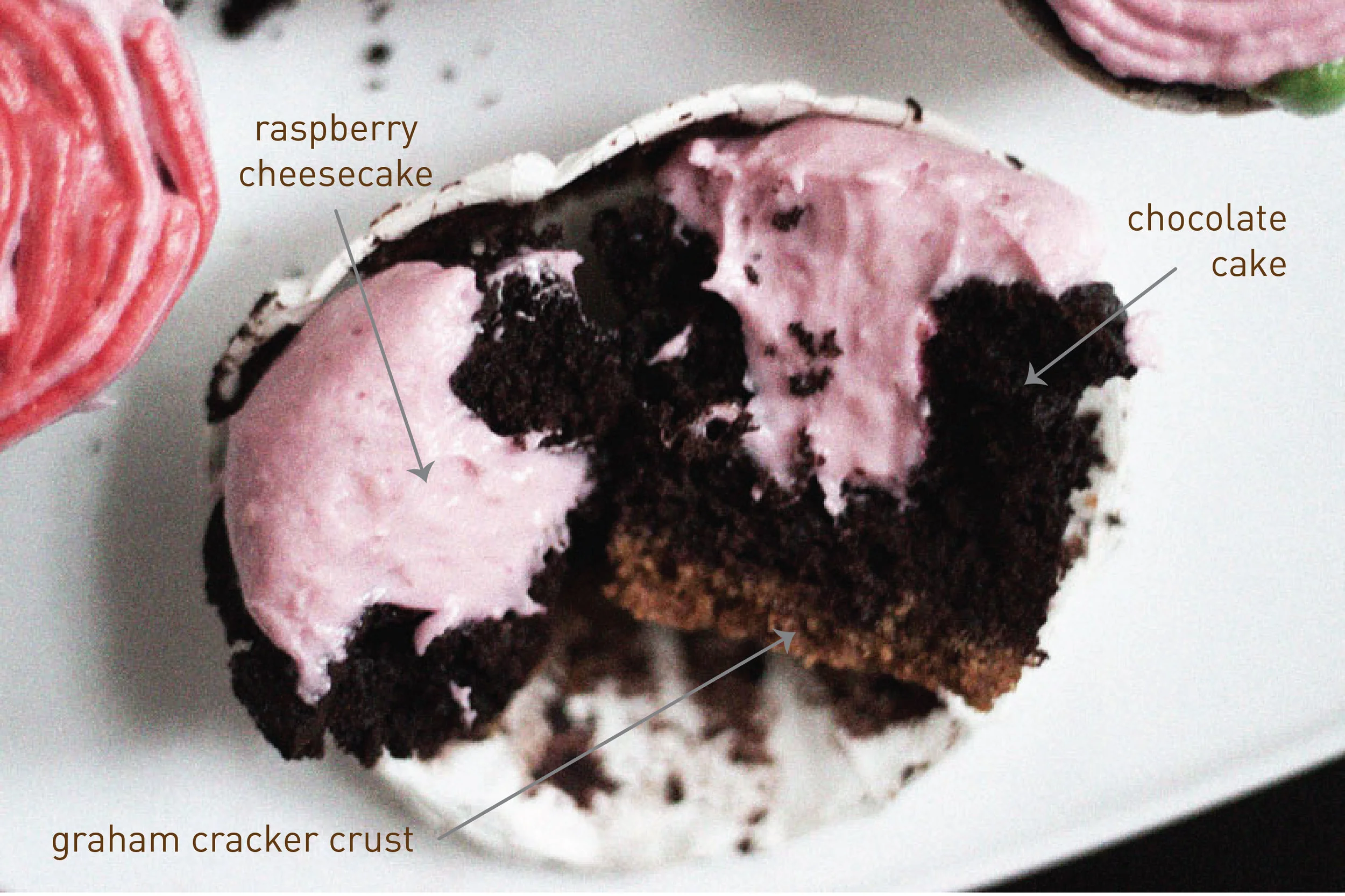 128js-Raspberry-Chohcolate-Graphic-2-02.jpg