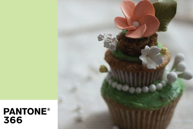 128js-Pistachio-Graphic-2 copy.jpg