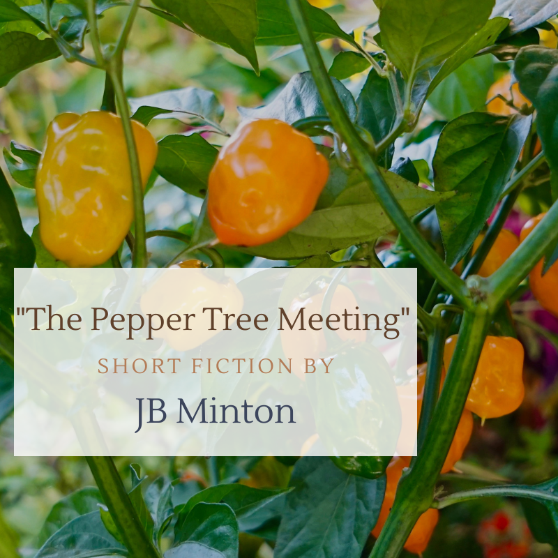 The Pepper Tree Meeting: When Joseph Campbell Met Krishnamurti
