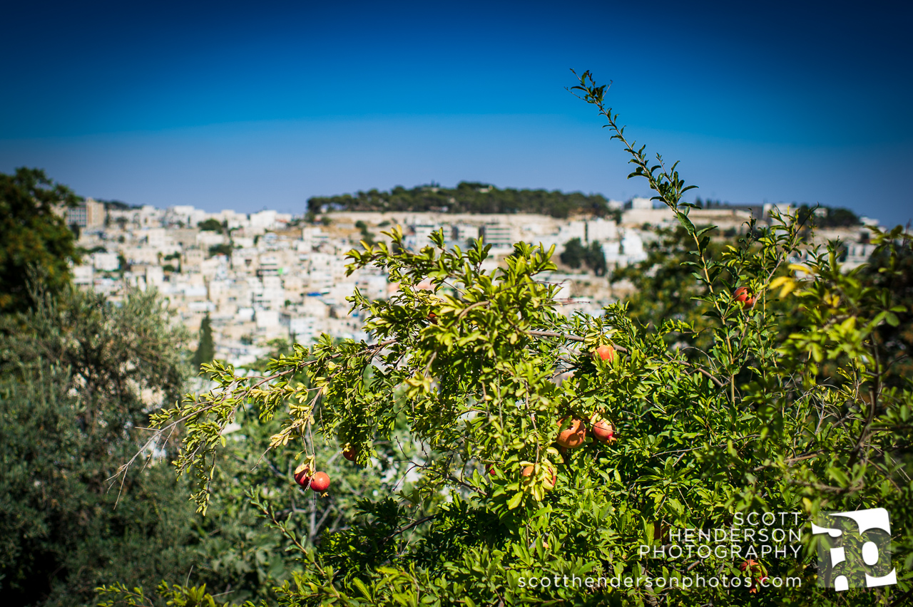 israel2013blog-021.jpg