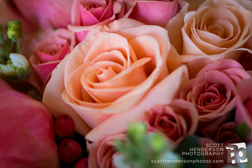 megan-mike-2014-blog-003.jpg