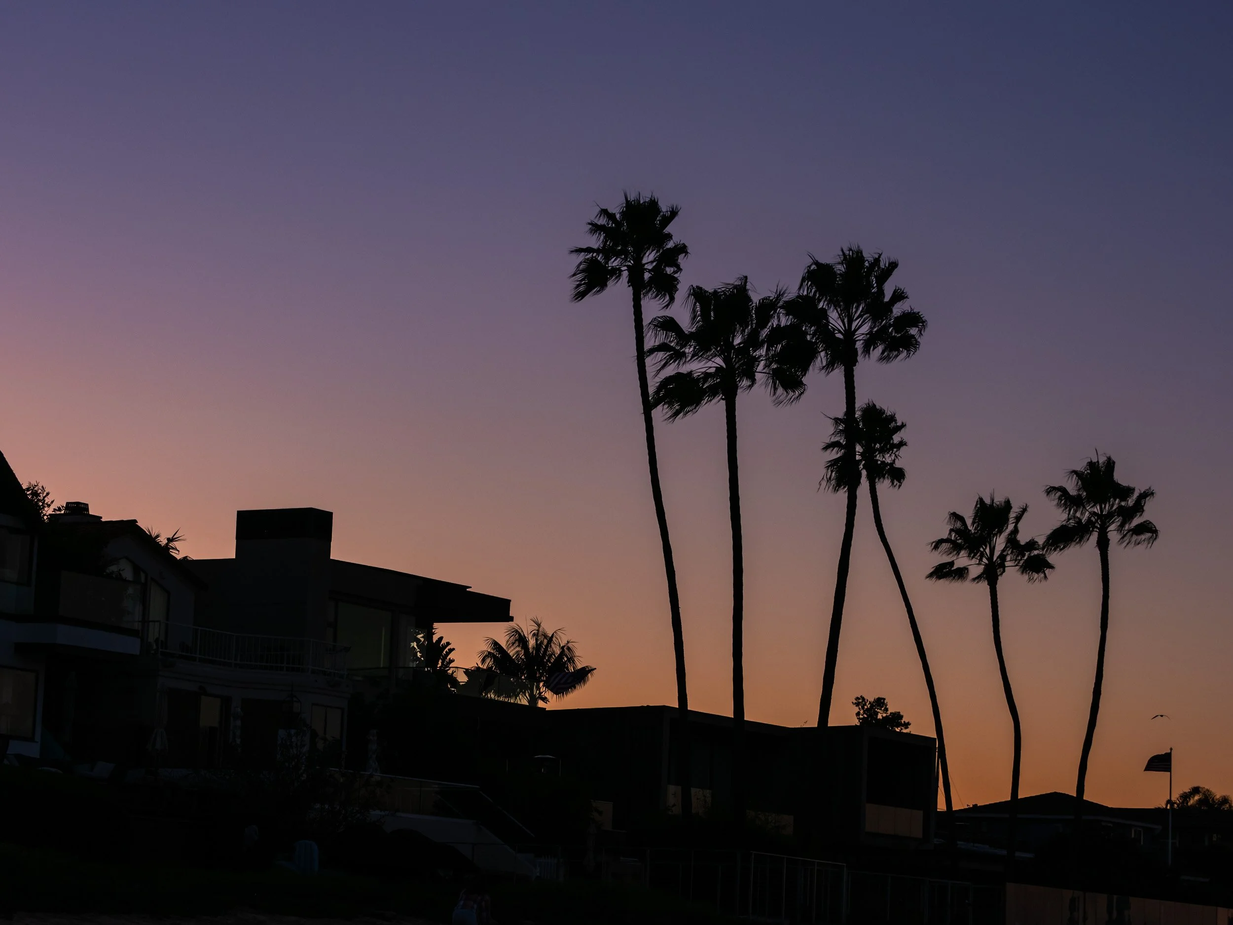 Palm Silhouette
Coronado, California