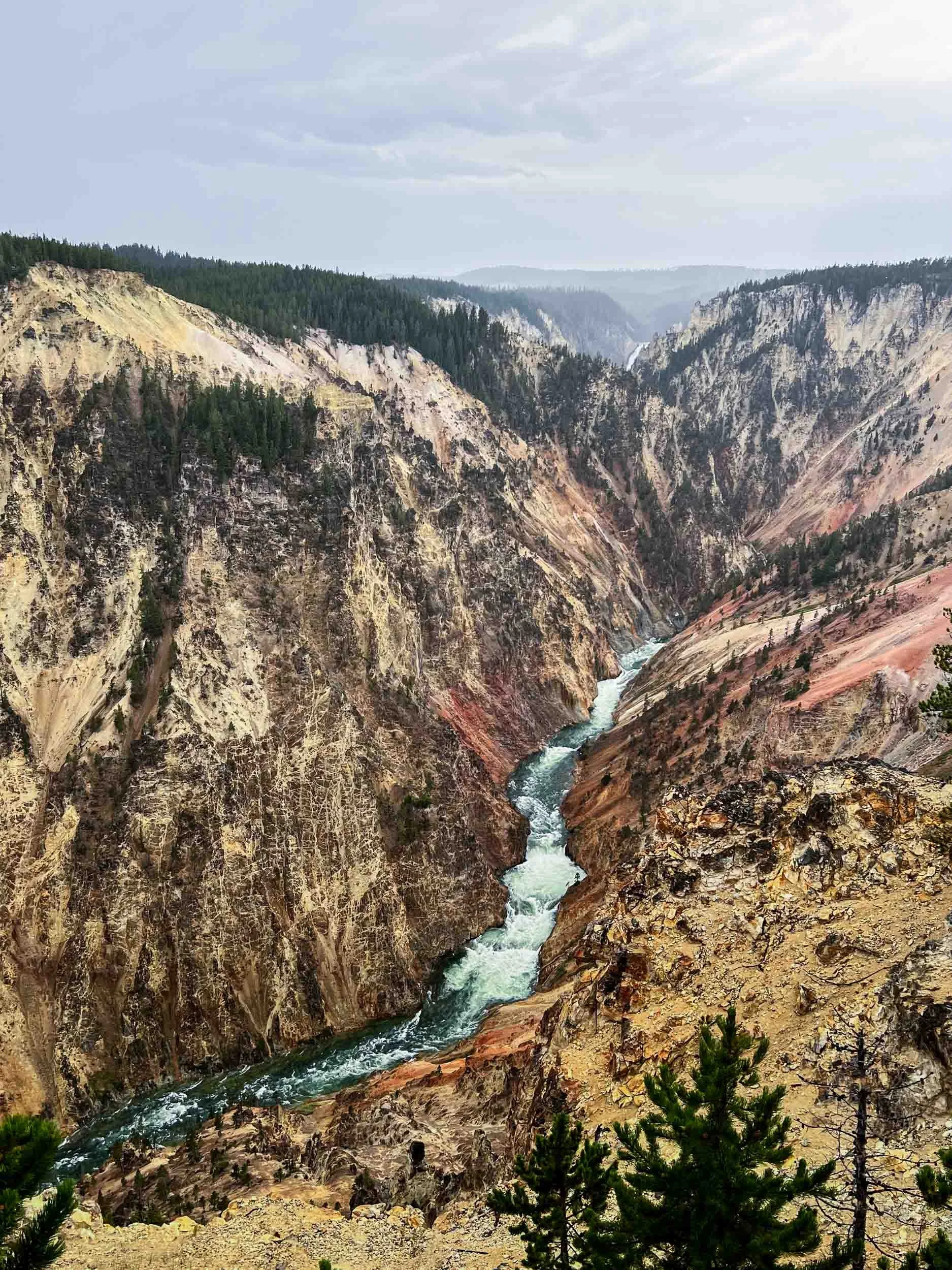 Canyon at First Light
Yellowstone National Park, Montana