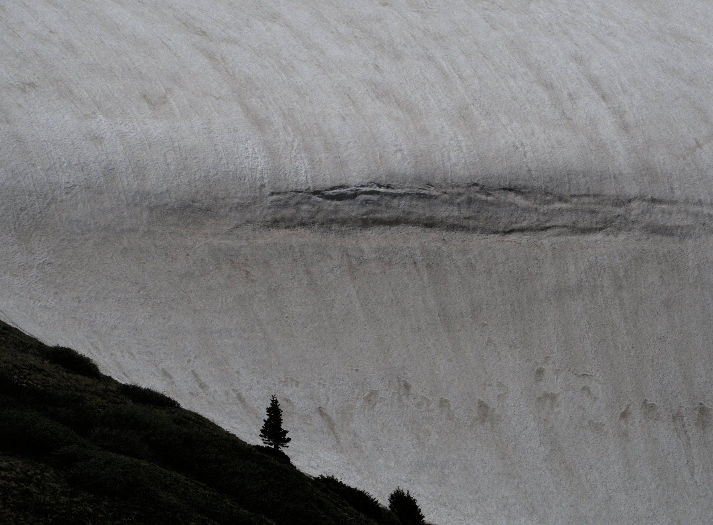 Large snow field, slope with trees in foreground