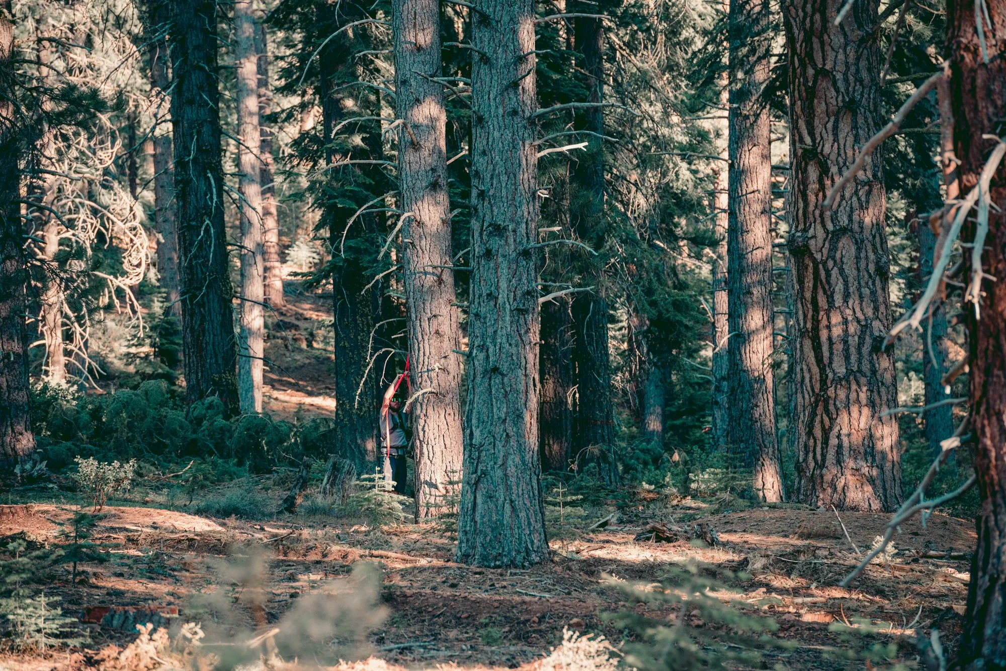 untitled-0027.jpg