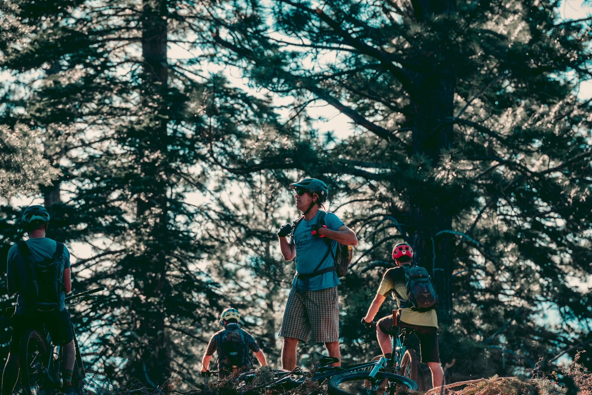 untitled-0018.jpg