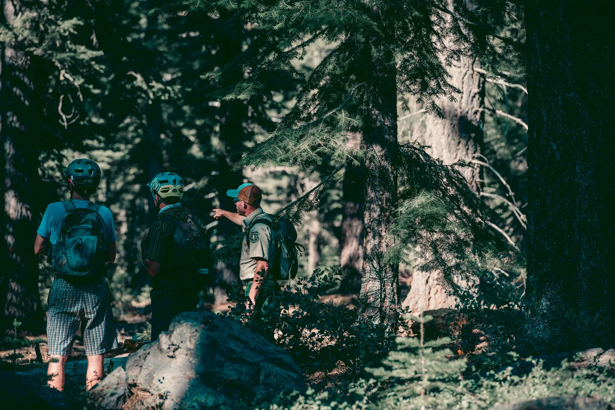 untitled-0003.jpg
