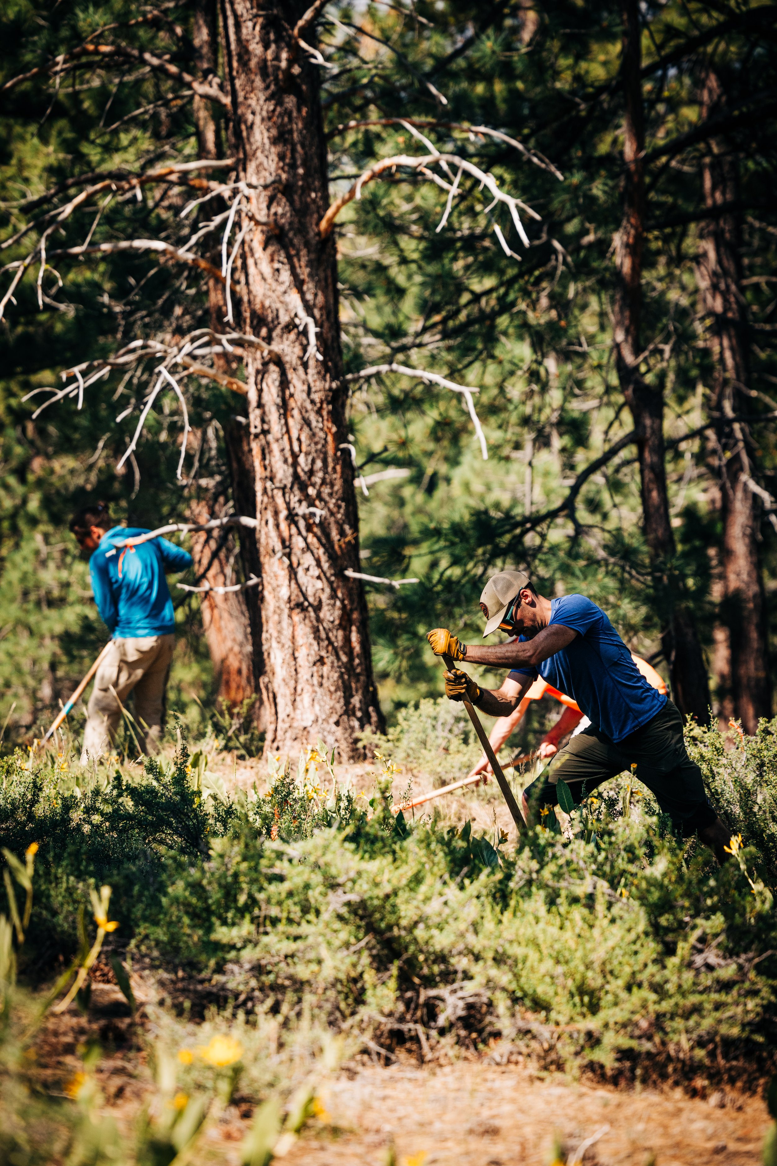 1,875 Stewardship Labor Hours