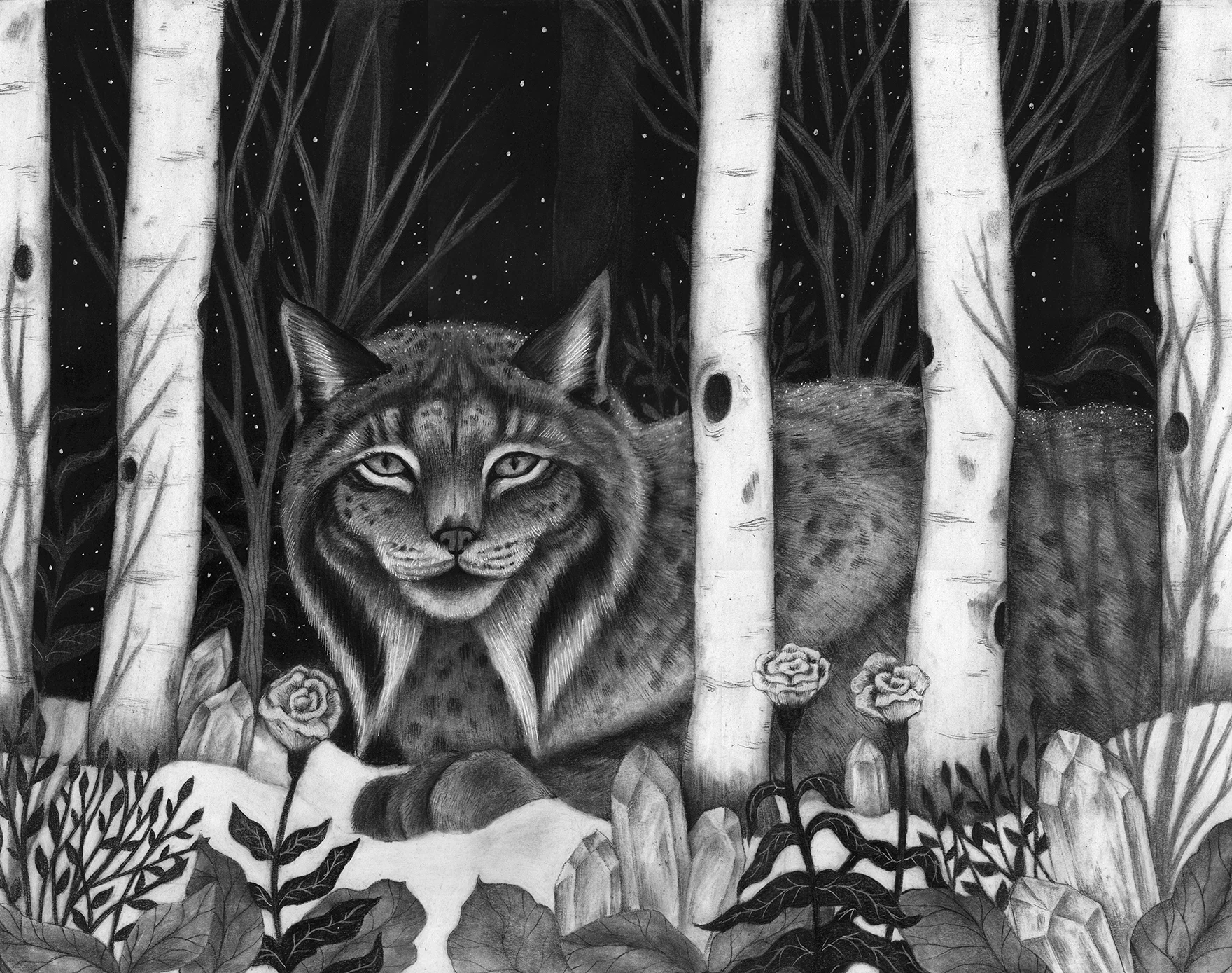Lynx.jpg