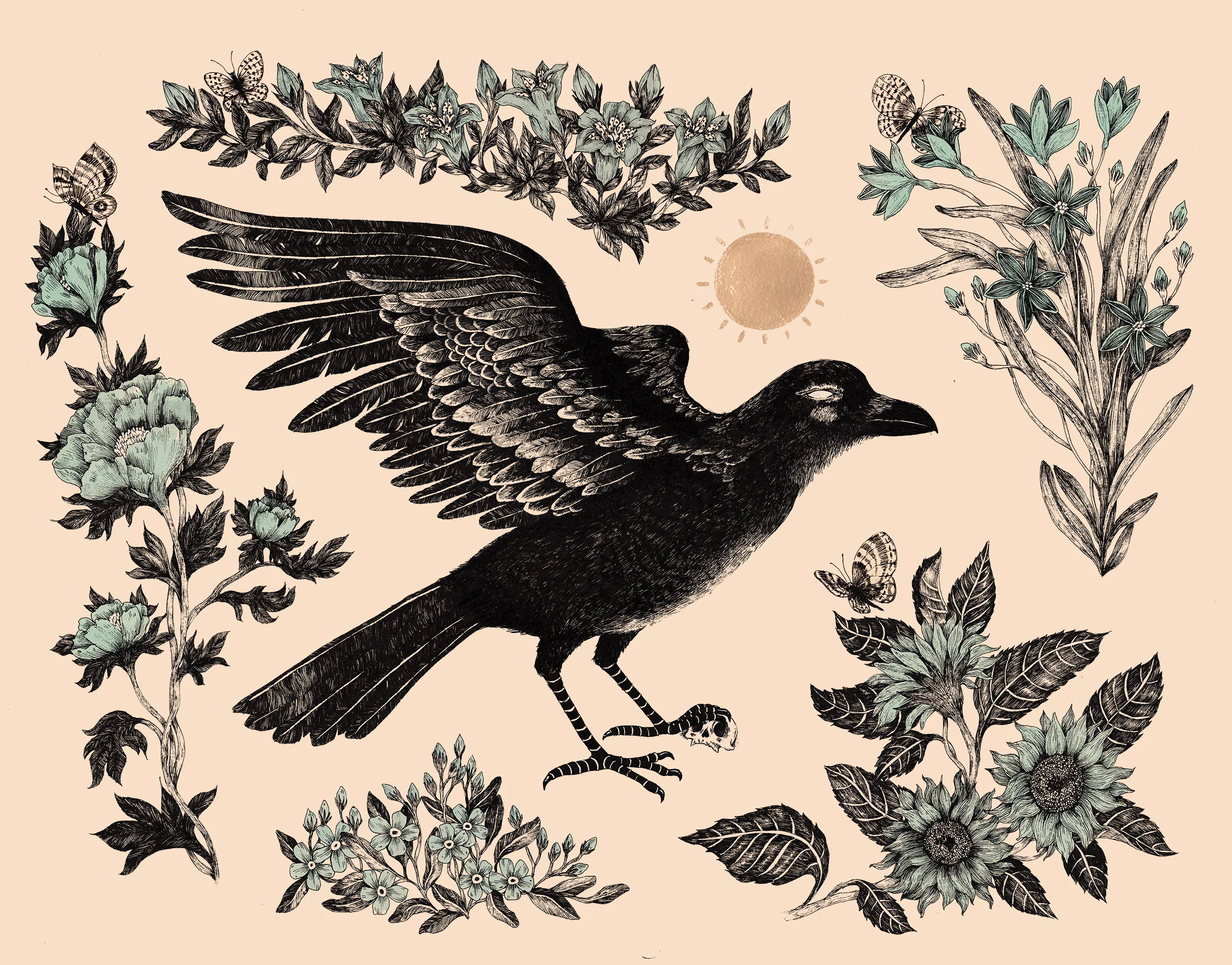 SunCrow.jpg