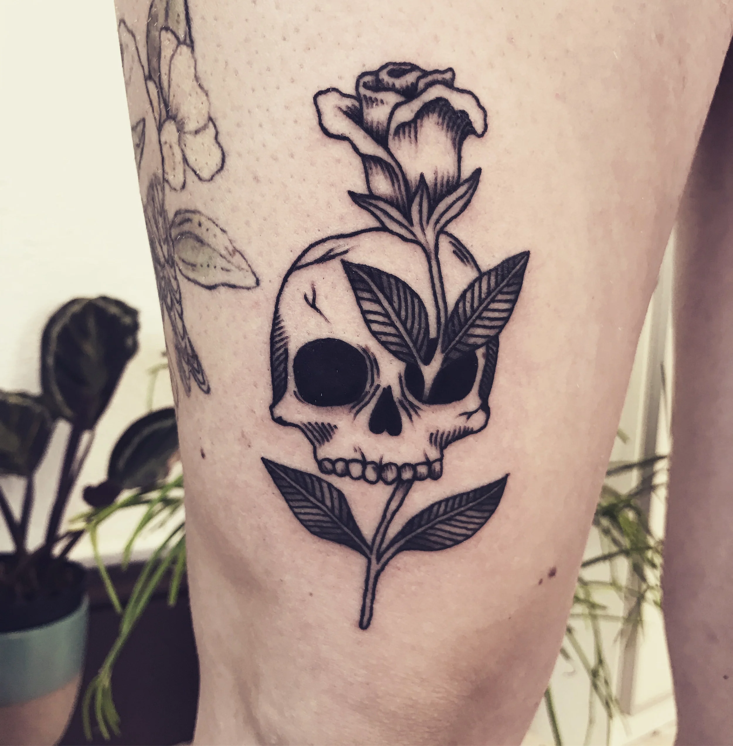 roseskull_1.jpg