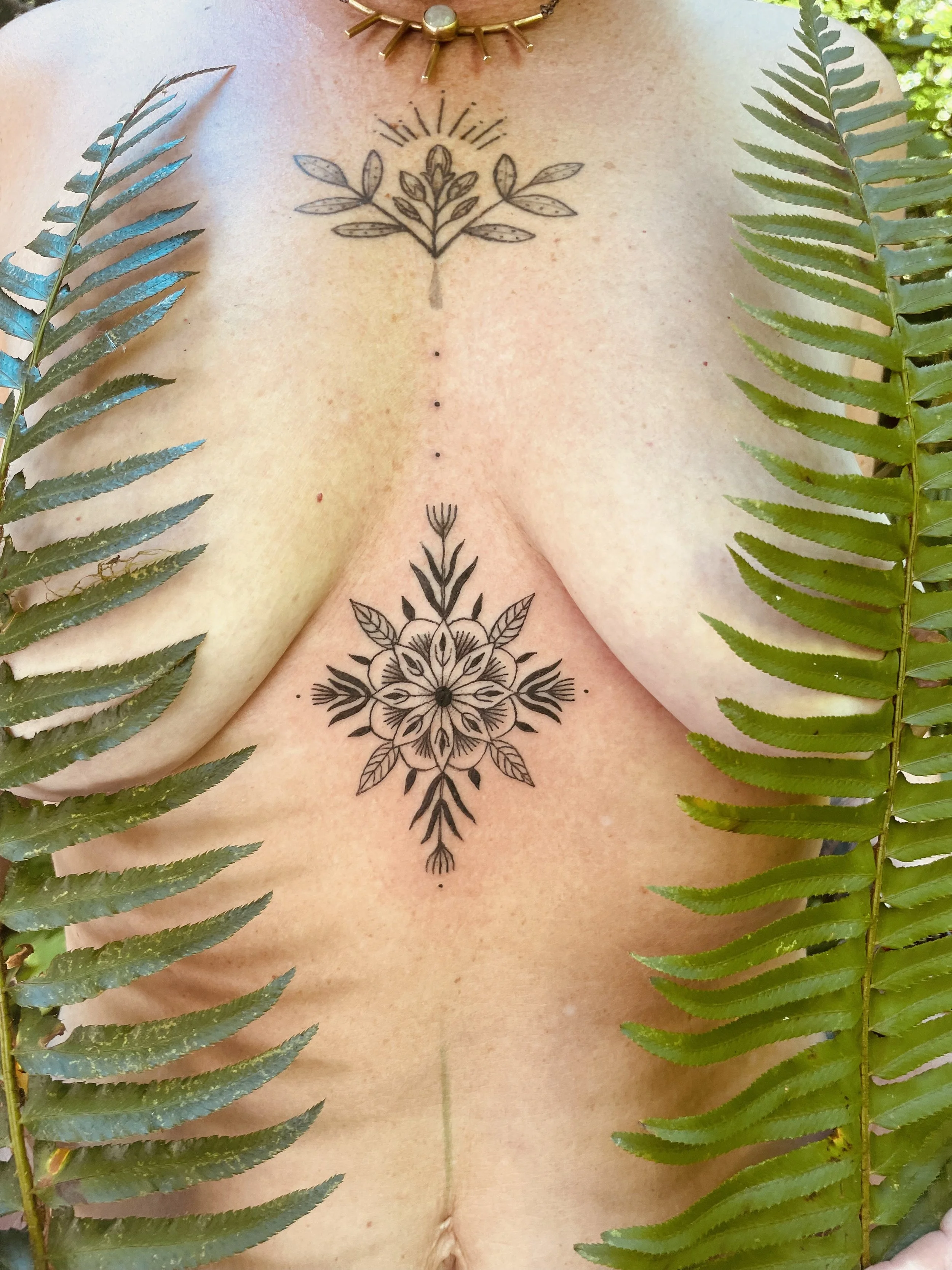 IMG_3638.jpeg