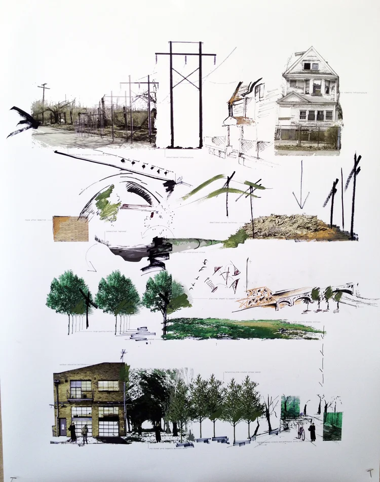scenario 2:  An urban forest of high quality native species takes over the void left after population loss while creating regional ecosystem benefits.