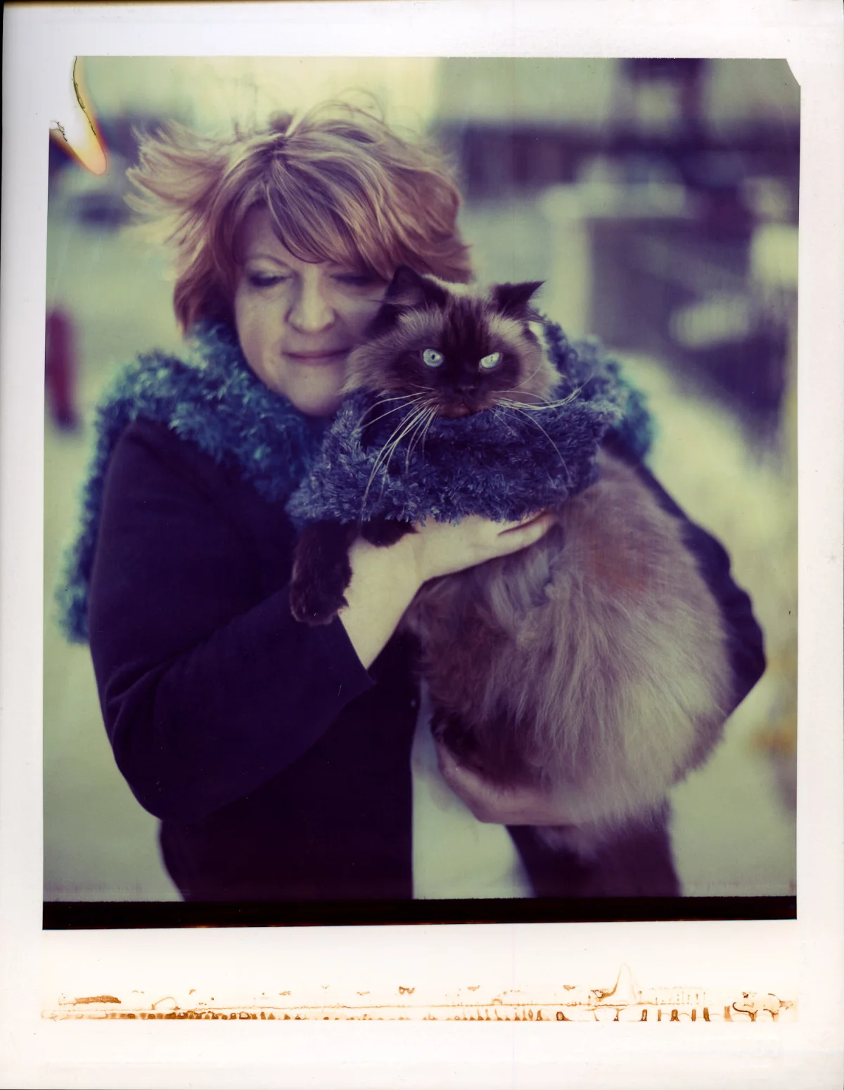 Leslie Lazenby & Schmoop