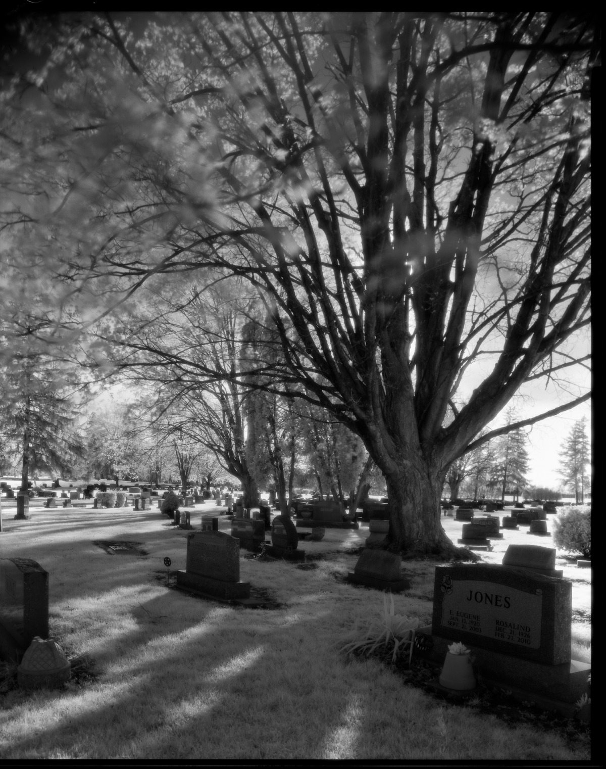 Maple Grove Cemetery 1