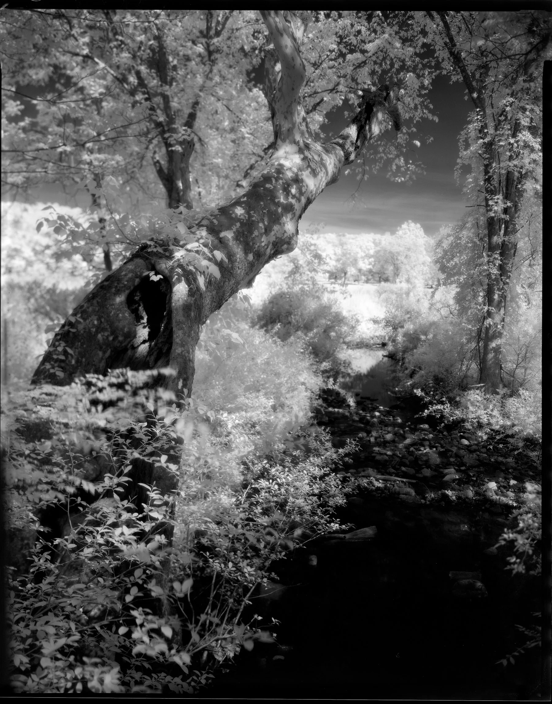 Creek View, Ringwood