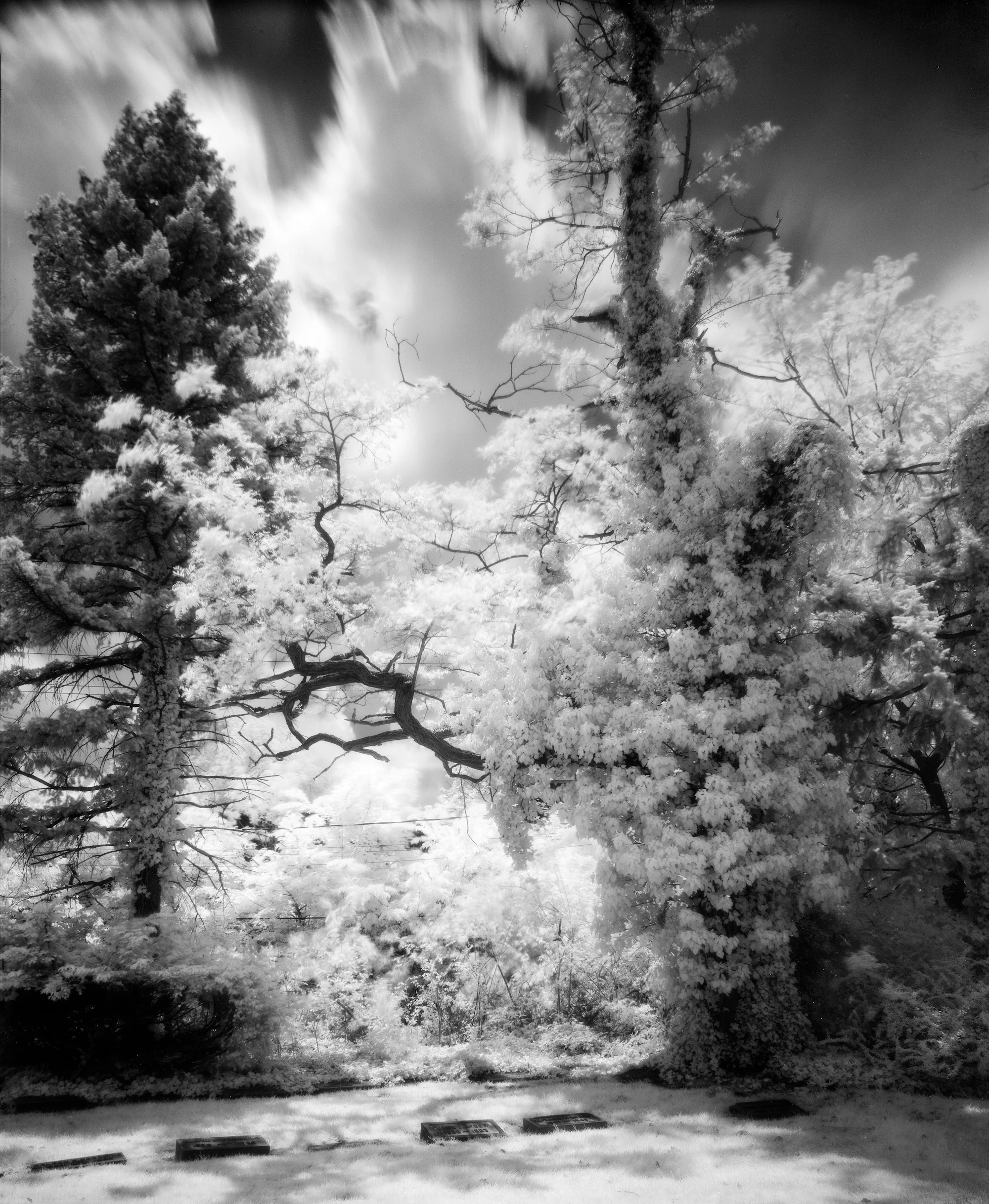 Lakeview Cemetery