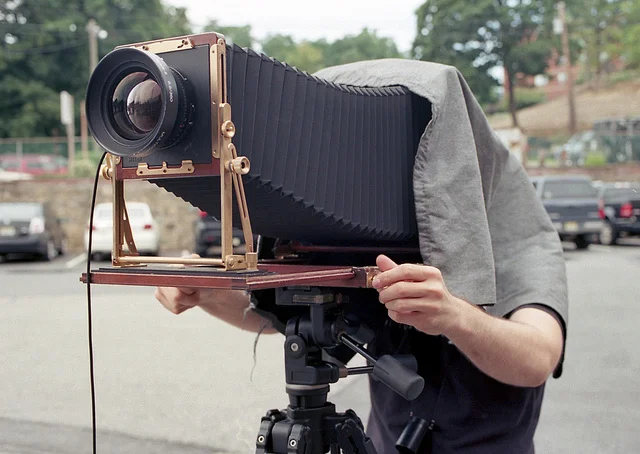 5 Pieces of Large Format "Fluff"