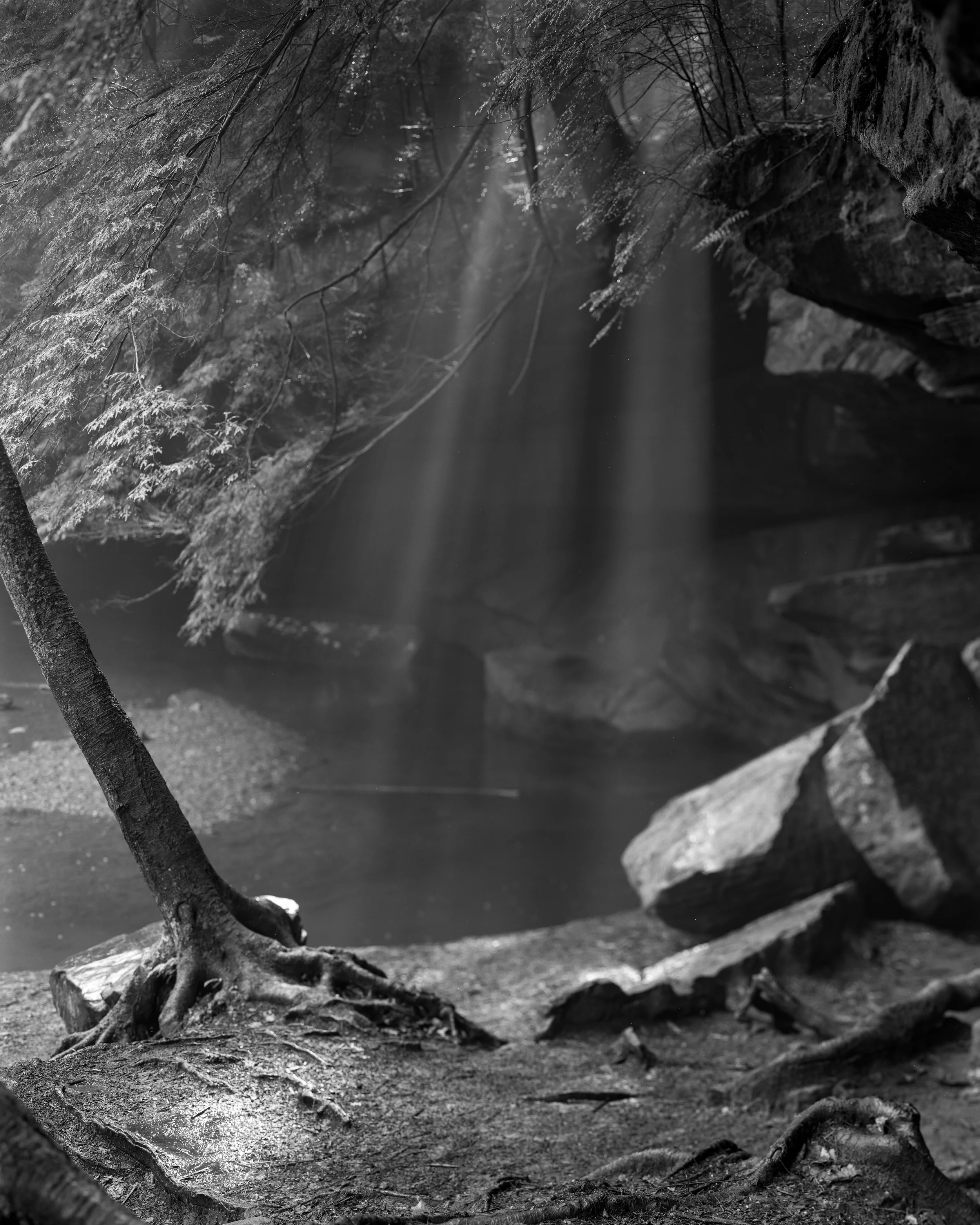 Streaming Light, Cedar Falls