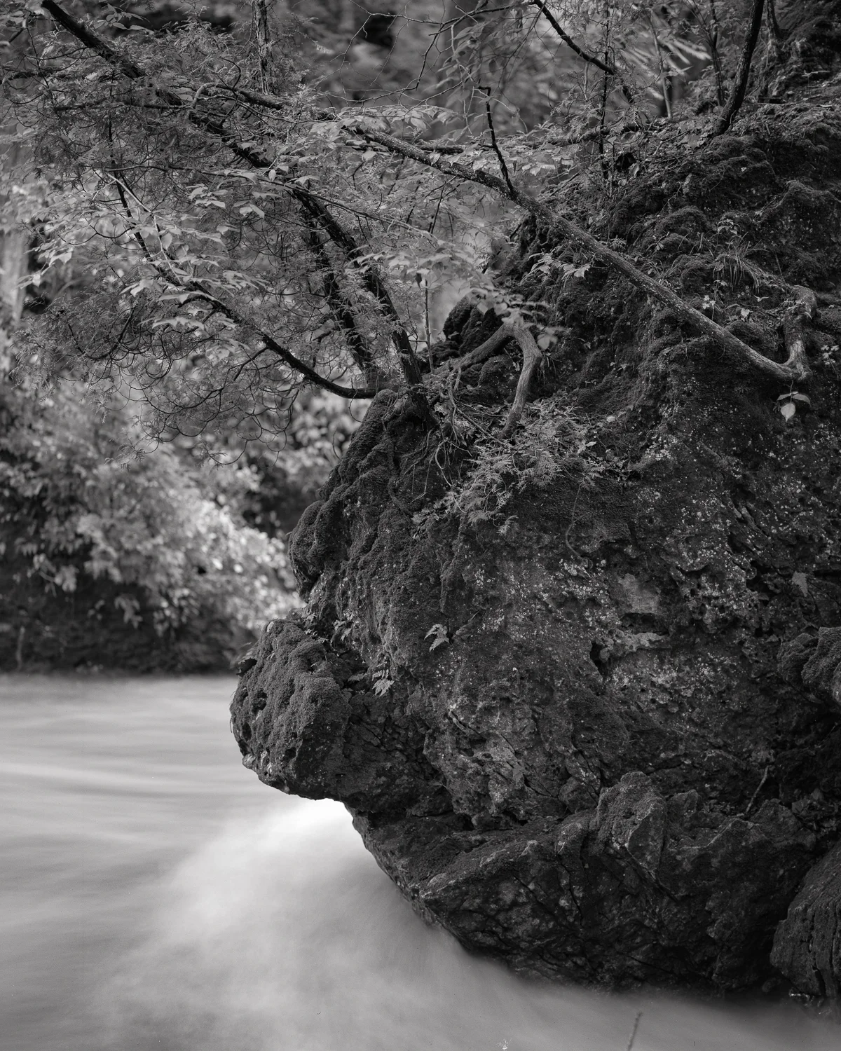 Clifton_Gorge_002.jpg