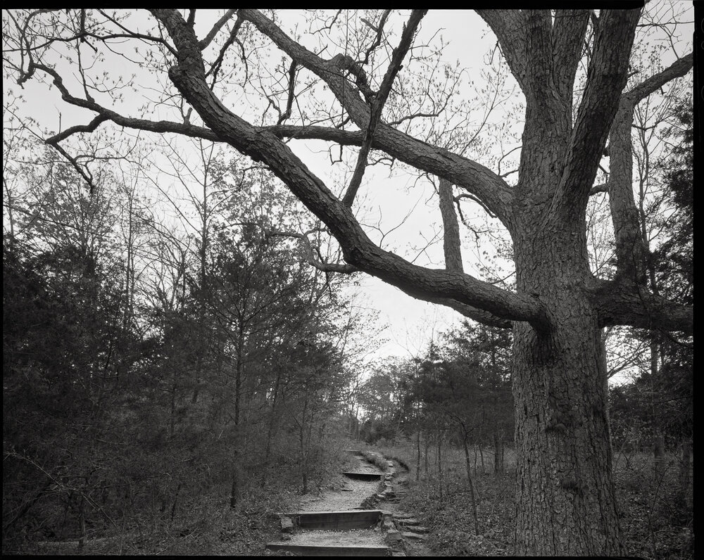 Clifton_Gorge_HP5_009.jpg