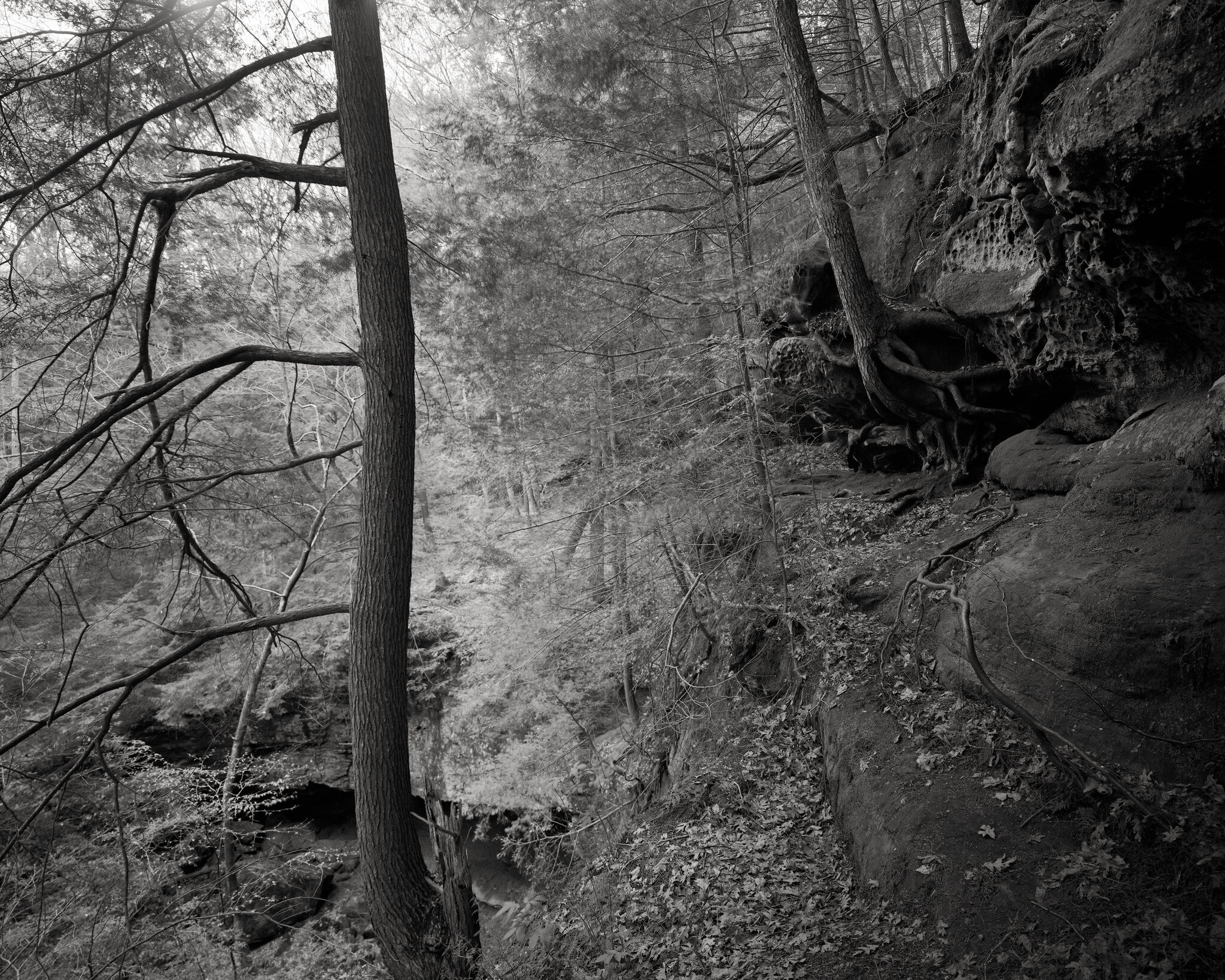 Saltpetre Cave Trail - FPP Mummy 400 B&W