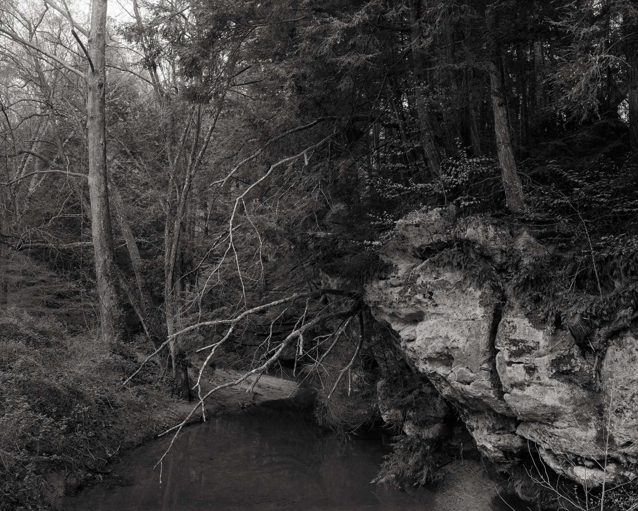 Roadside View, Logan, OH - FPP Mummy 400 B&W