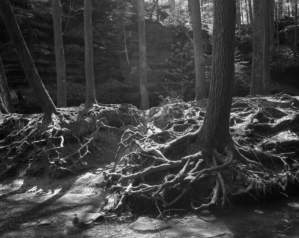 High Noon on Old Man's Cave Trail, Hocking Hills