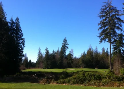 SG_SCGCC_10thgreen.jpg