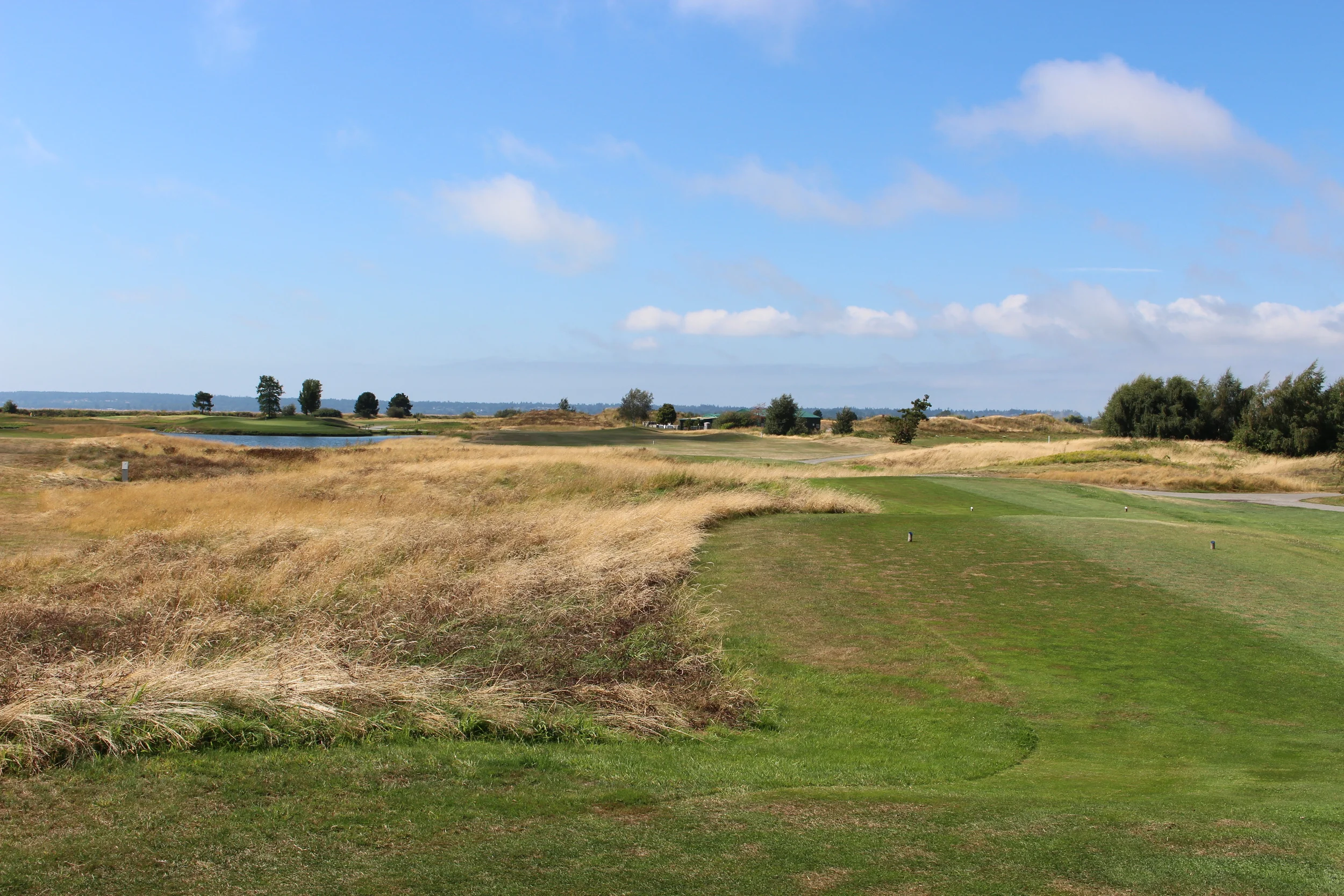 Thinking Links - Kings Links Golf Course