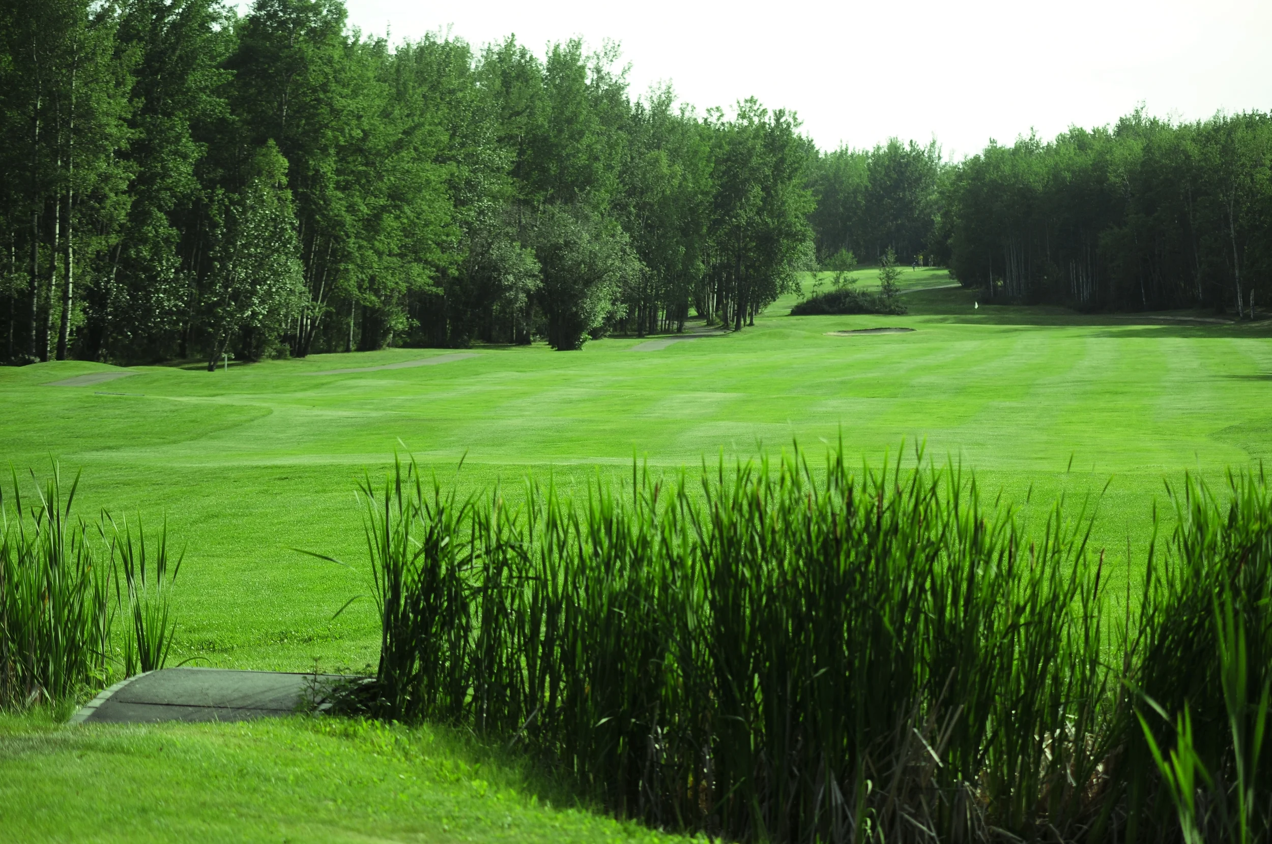 Bridge Fairway hole 6.JPG