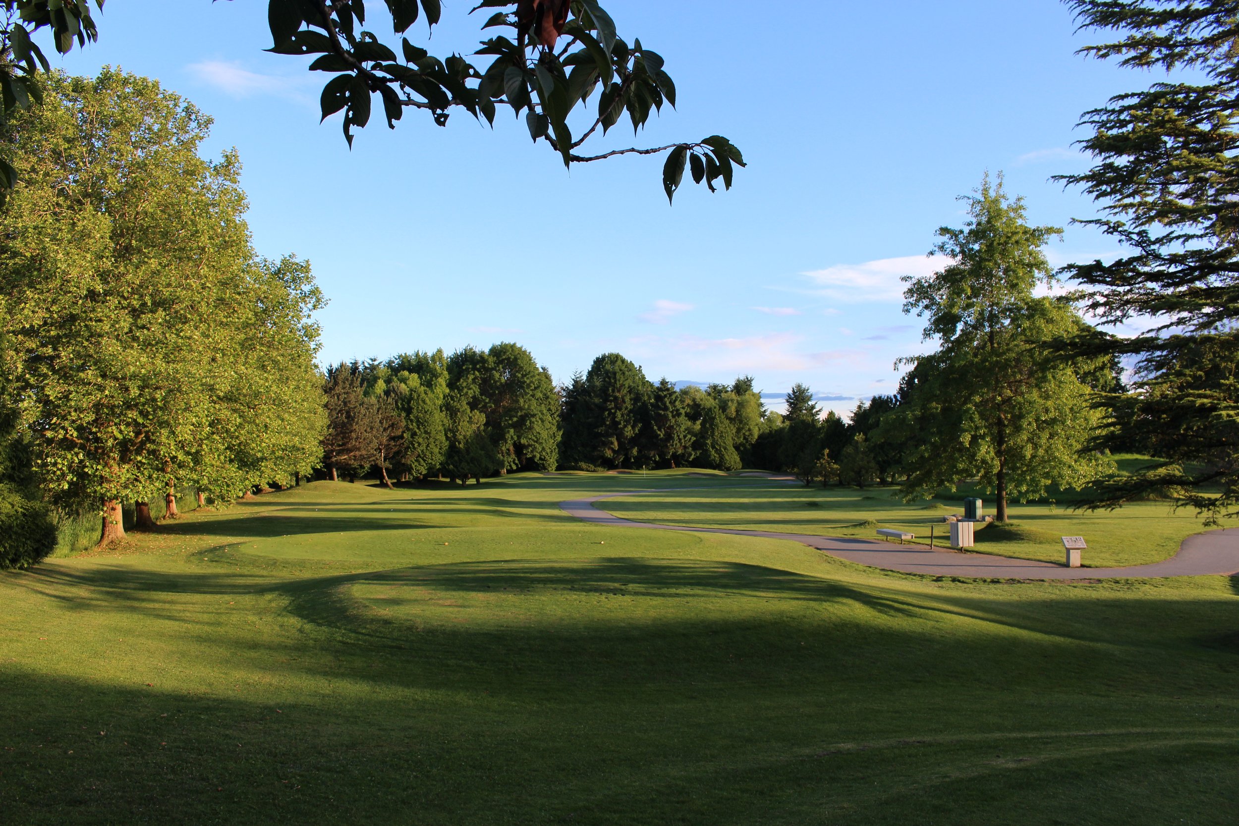MAYFAIR LAKES GOLF CLUB - IN PROGRESS (Copy)