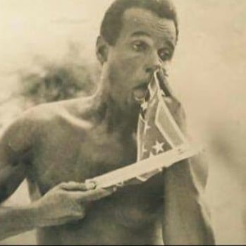 HARRY BELAFONTE on THE CONFEDERATE FLAG
