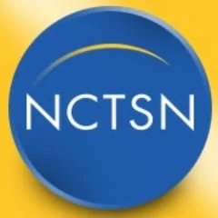 Child Trauma Toolkit for Educators