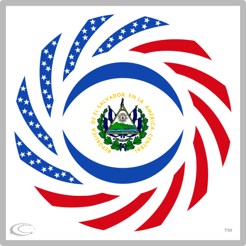 North American Flags By Onjena Yo Carbon Fibre Media