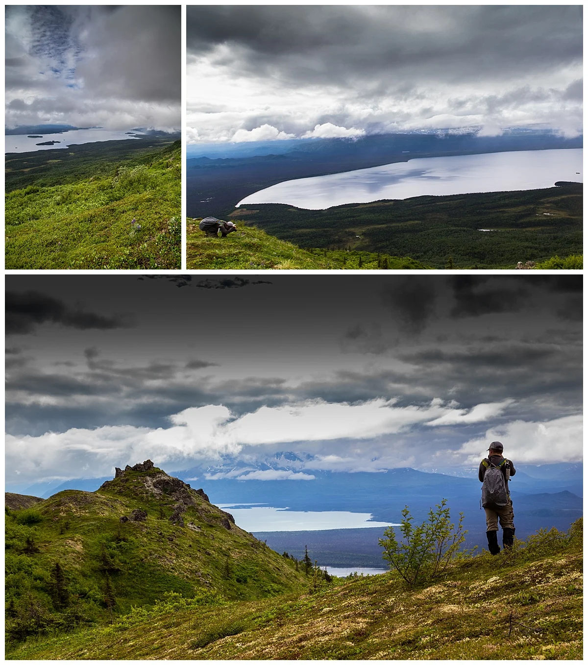 Dumpling Mountain hike. We were very disappointed to not find dumplings on this trail. 