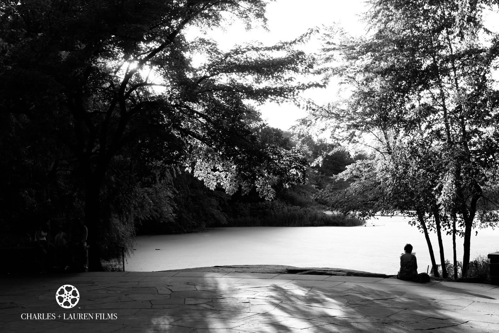 New York Central Park Black and White Reading