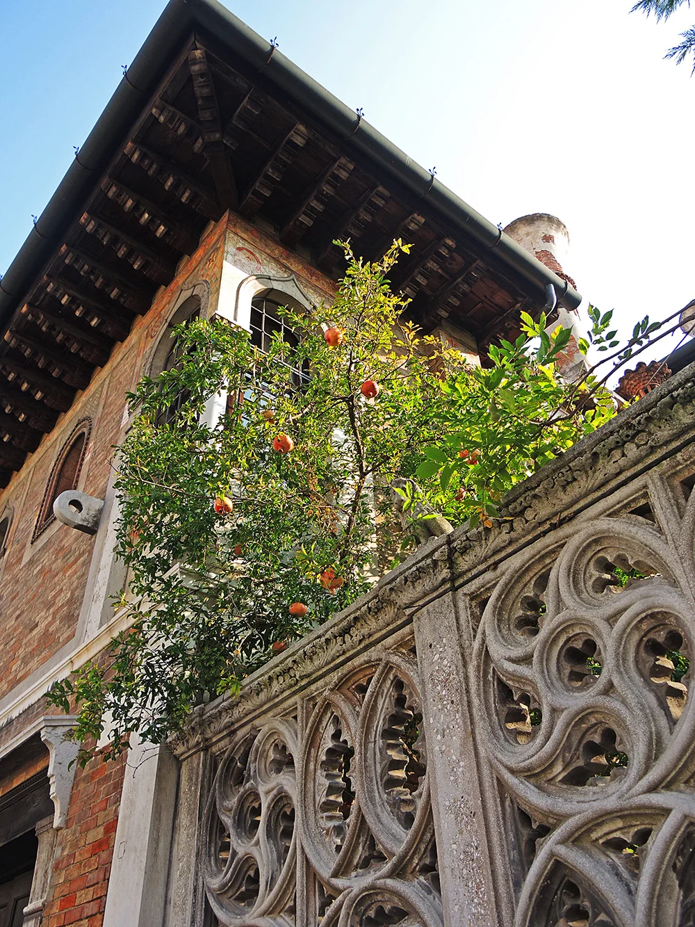 We were so happy to see that there is still room for backyards with gardens in the dense buildings on the islands.