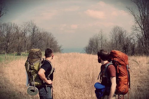 looking-into-distance.jpg