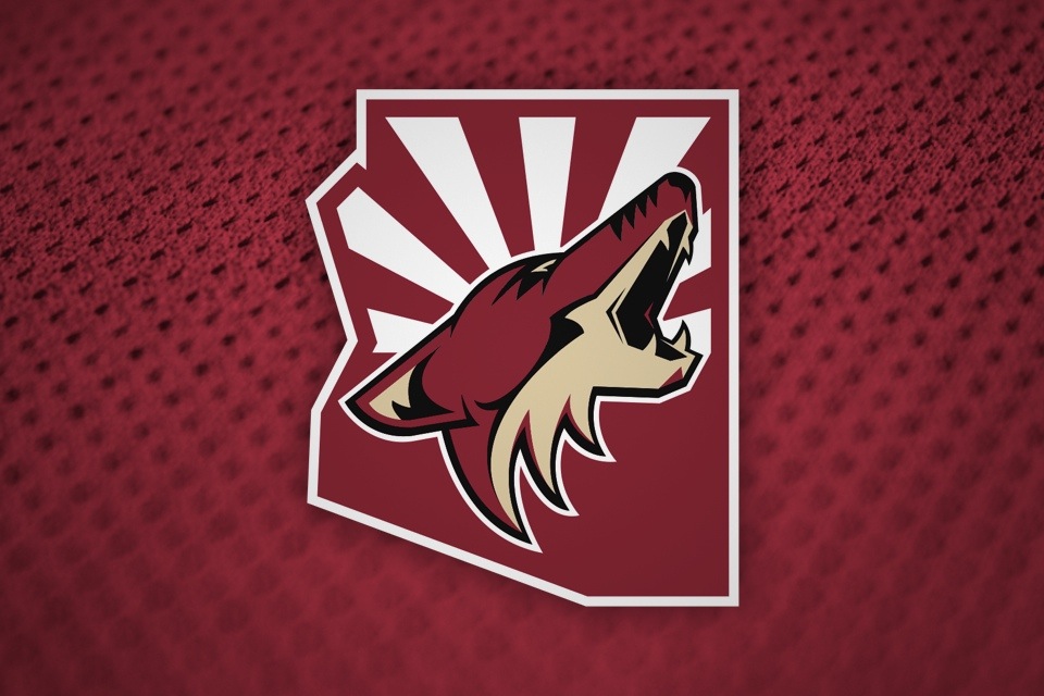  Seen on cover of Coyotes' 2013-14 media guide 