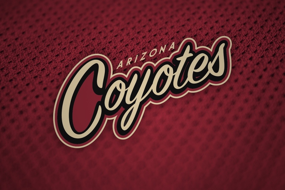 Arizona Coyotes Wordmark Logo