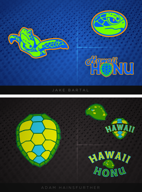 honu-2h.png