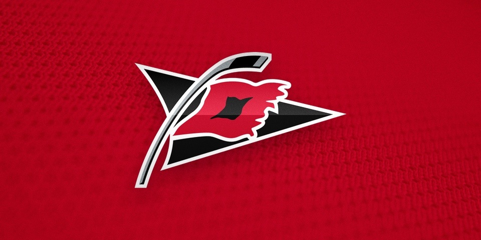  Carolina Hurricanes, secondary logo by Peter Thornburgh, 1997— 